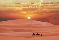 تشكل الصحاري نسبة %95 من مساحة السعودية 