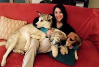  من المعروف عن "هازال" أنها مغرمة بالحيوانات وبشكل خاص الكلاب فهي تمتلك أكثر من واحد في منزلها وتشارك جمهورها صورها معاهم علي مواقع التواصل الاجتماعي 