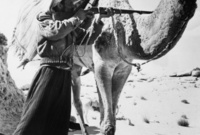 معركة كنزان: وقعت في 28 يونيو 1915 ضد قبائل العجمان في منطقة كنزان بالأحساء بعد تسببهم بنزاعات في الأحساء، وانتصر فيها الملك عبد العزيز وقام بترحيل القبائل بعيدًا عن الأحساء
