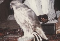 وفي الـ 6 من أغسطس عام 1966 تولى الشيخ زايد زمام الحكم لإمارة أبو ظبي لتبدأ صفحة جديدة في تاريخ الإمارة